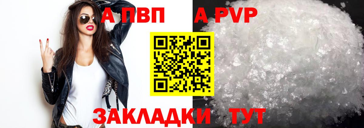 A PVP СК КРИС Саранск