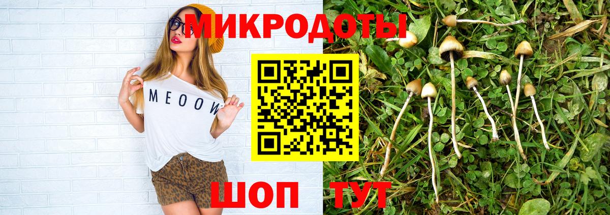 Галлюциногенные грибы мицелий Саранск
