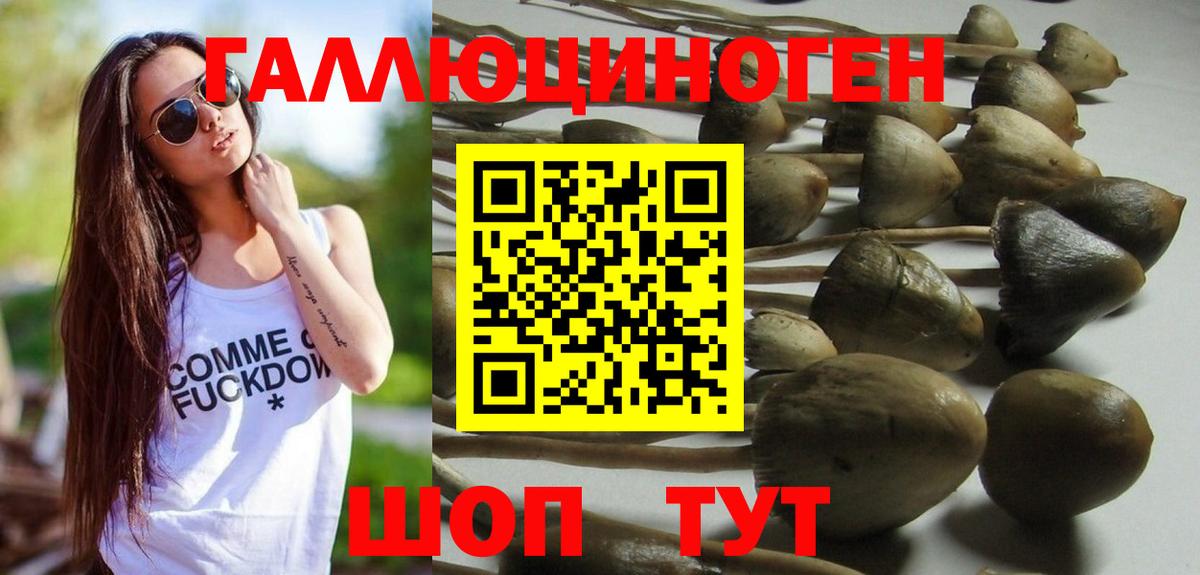 Галлюциногенные грибы Magic Shrooms  Вход с VPN  Саранск 